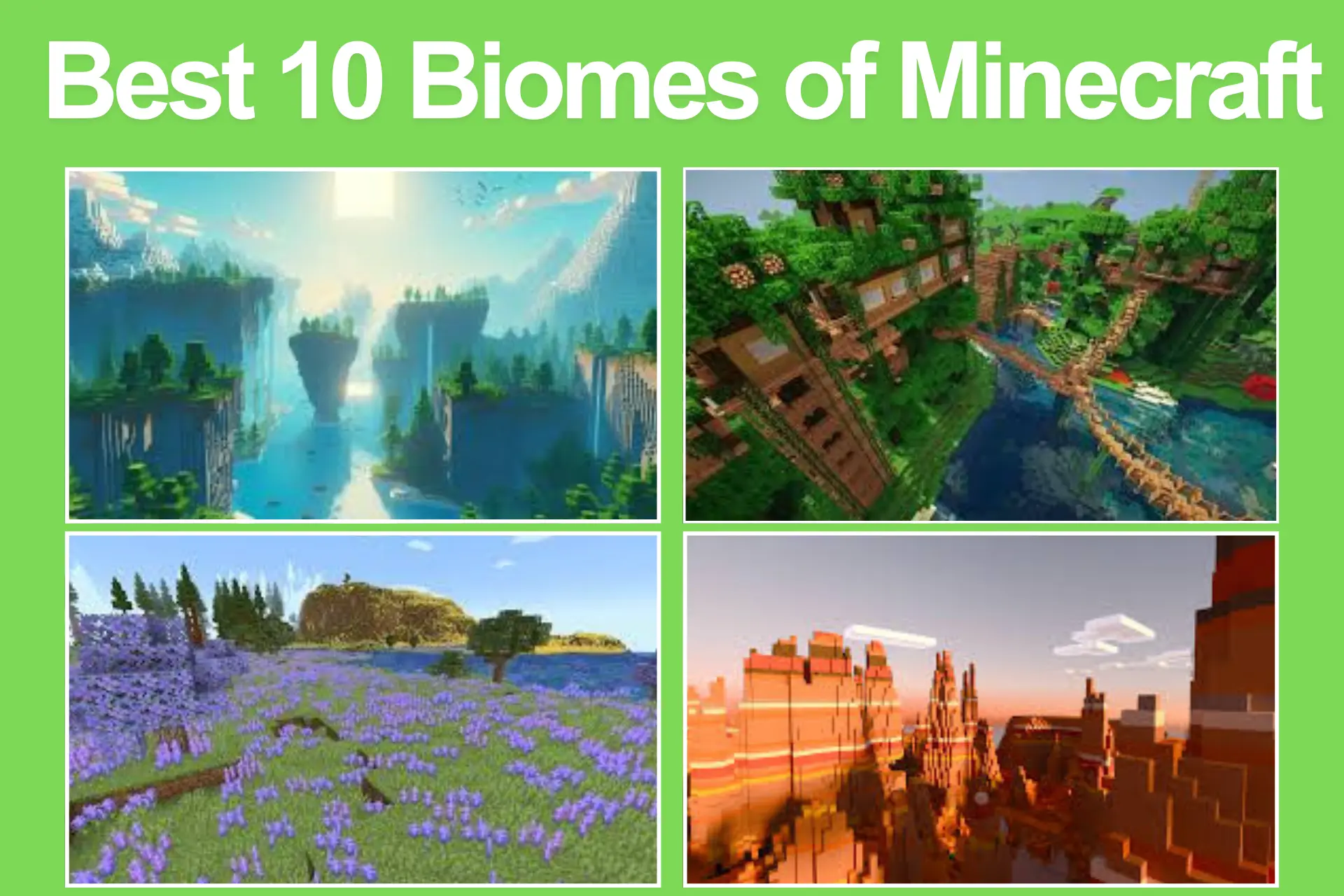Best Biomes of Minecraft
