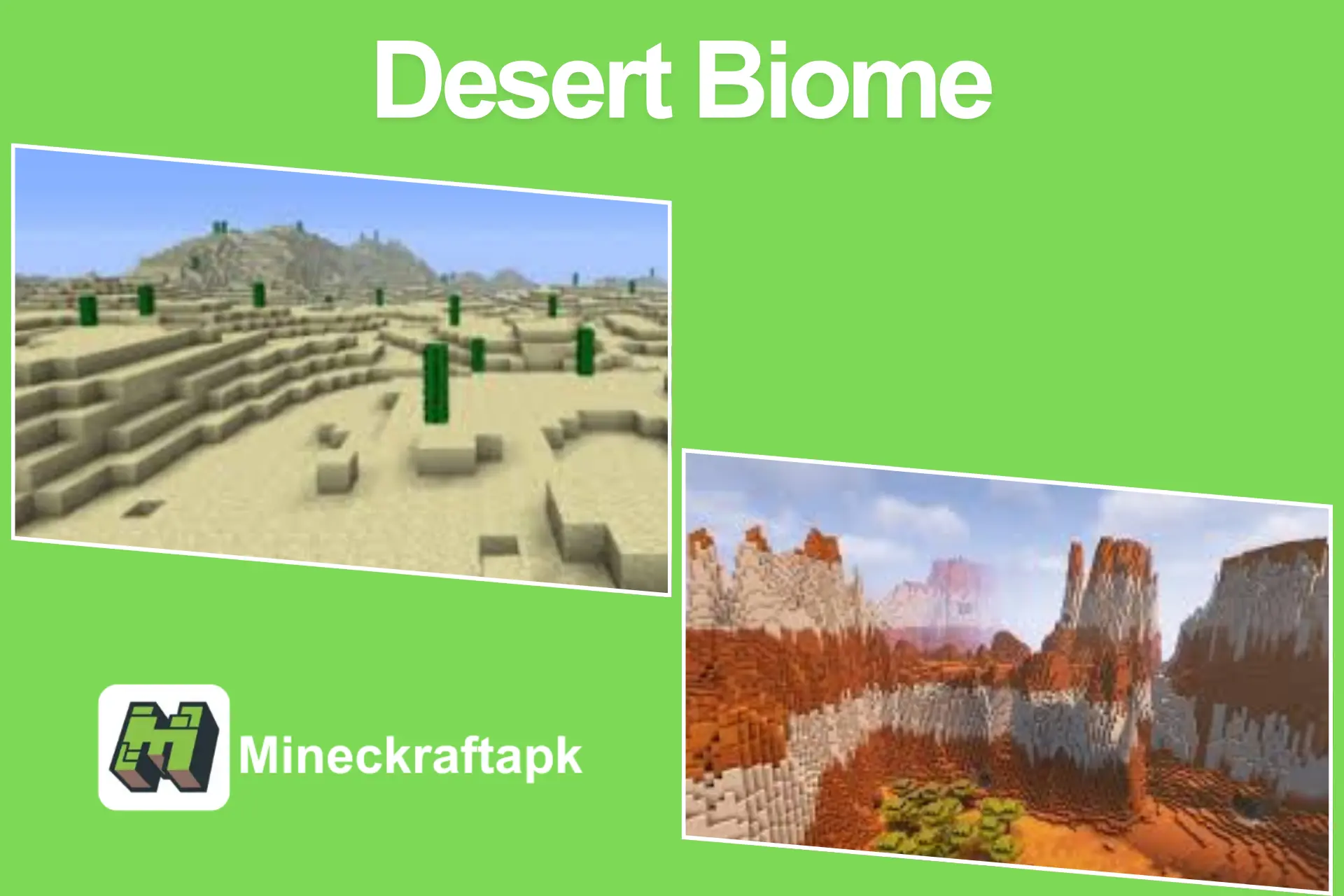 Desert Biome of Minecraft APK