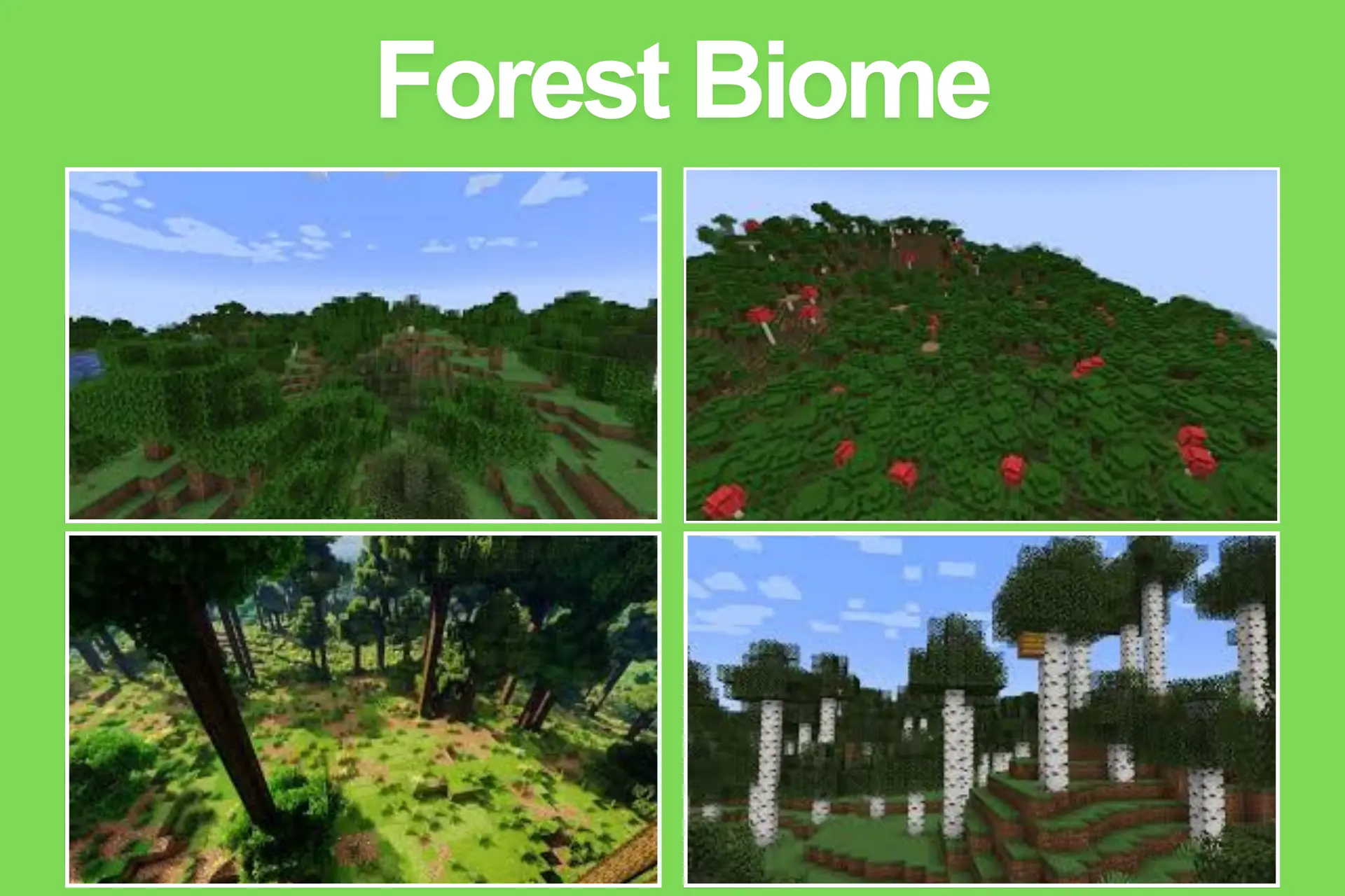Forest Biome of Minecraft APK