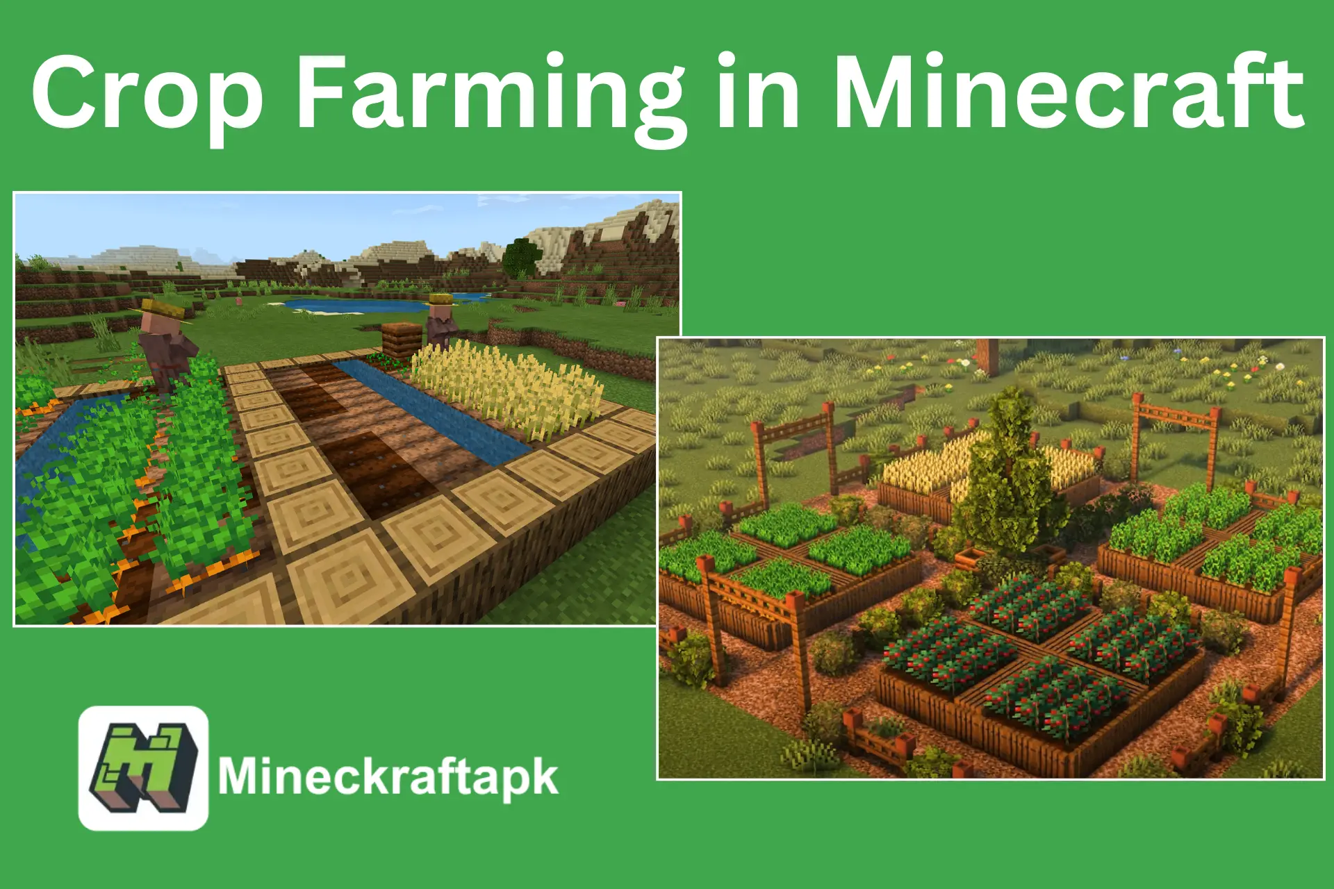 Crop Farming in Minecraft