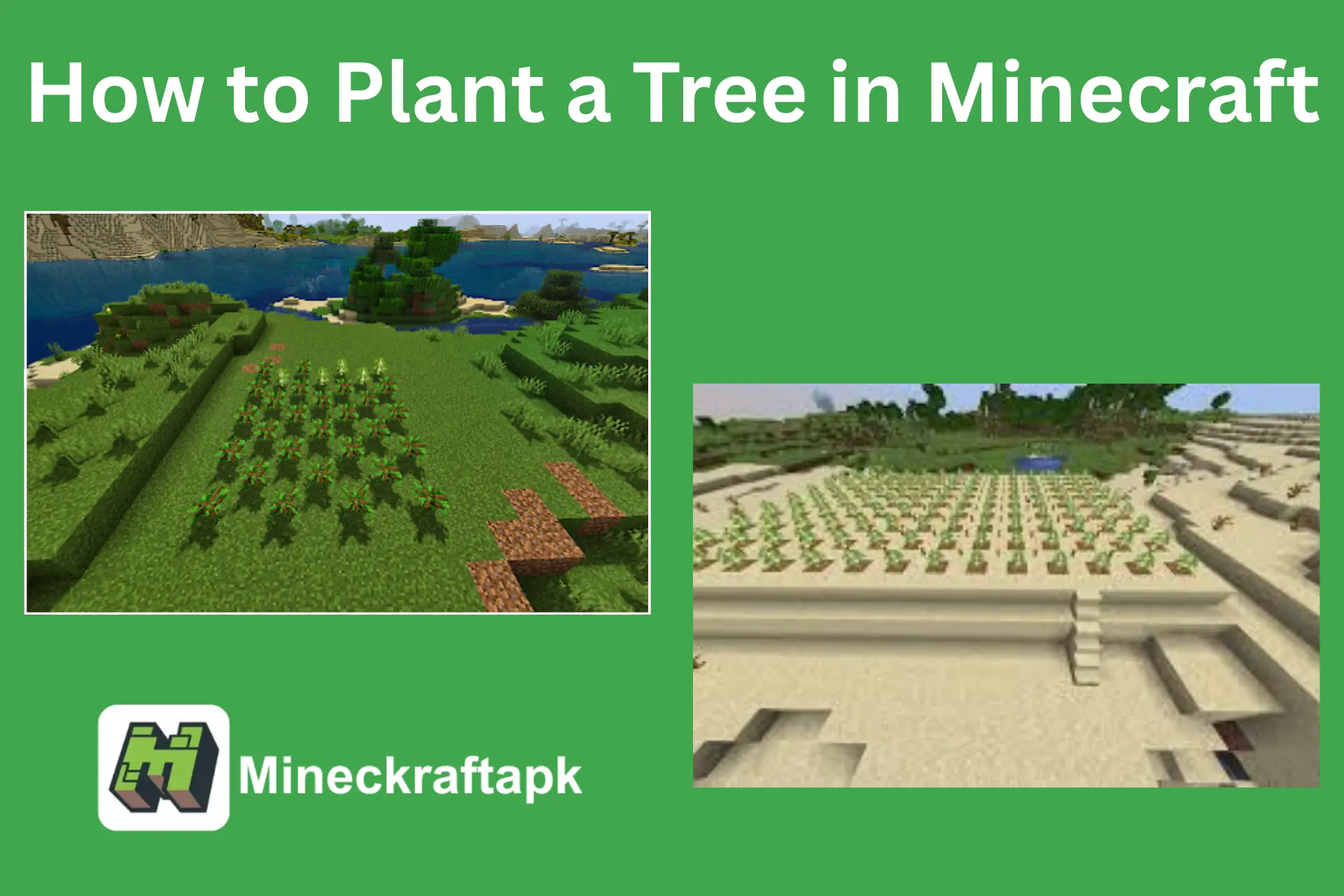 How to Plant a Tree in Minecraft