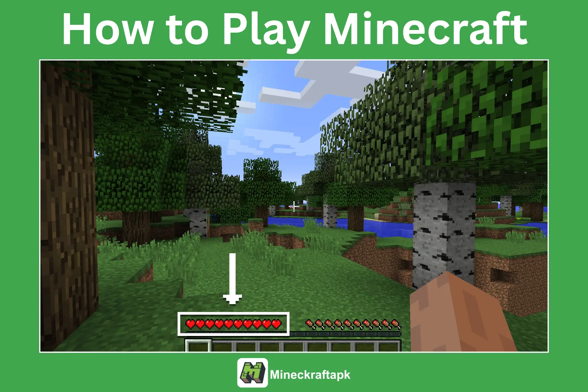 How to Play Minecraft as a Beginner