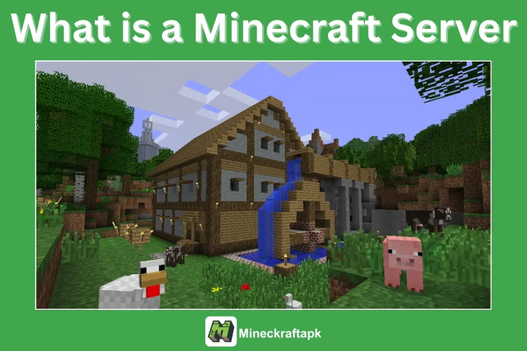 What is a Minecraft Server