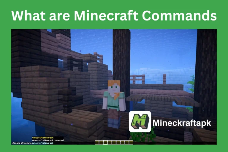 Minecraft Commands
